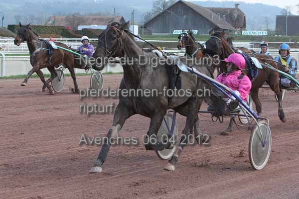 Negre du Digeon Hum3 prot